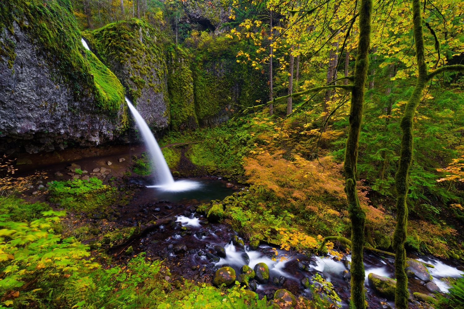 Larch Mountain Inventoried Roadless Area, 13,061 acres, Mt. Hood National Forest, Oregon